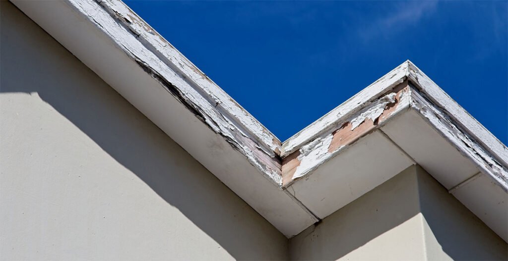 damaged-fascia-board